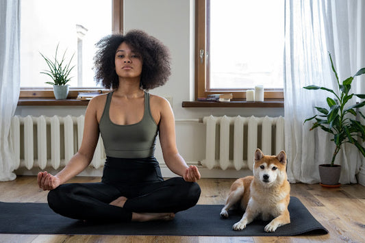 Choisir entre Méditation du Matin ou du Soir