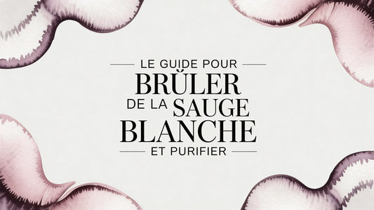 Le guide pour bruler de la sauge blanche et purifier