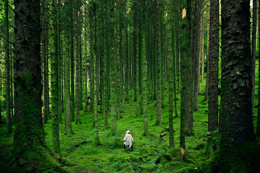 Les bienfaits de la nature sur le bien-être physique et mental