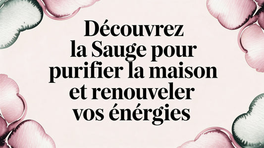Découvrez la sauge pour purifier maison et renouveler vos énergies