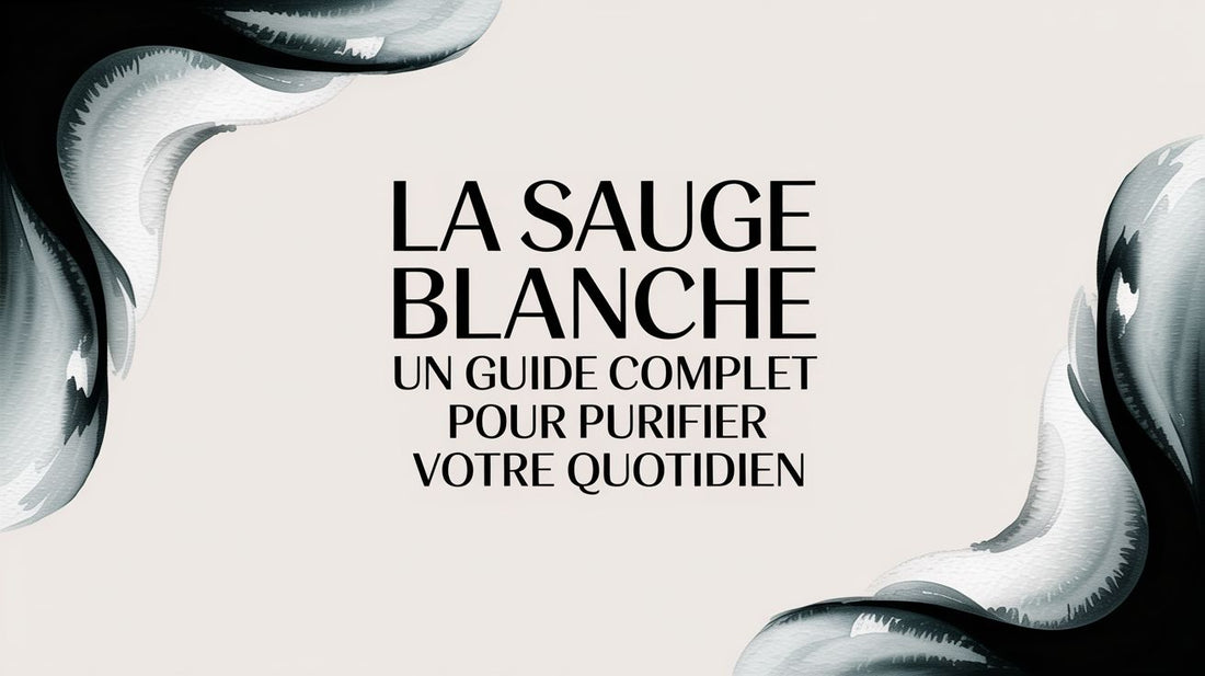 La sauge blanche un guide complet pour purifier votre quotidien
