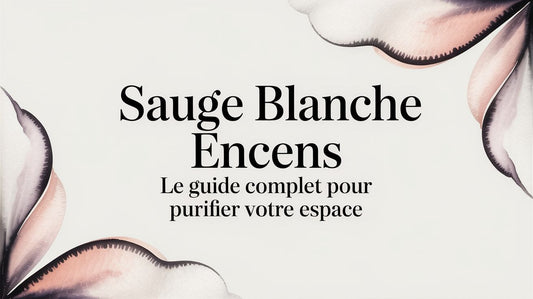 Sauge blanche encens: Le guide complet pour purifier votre espace